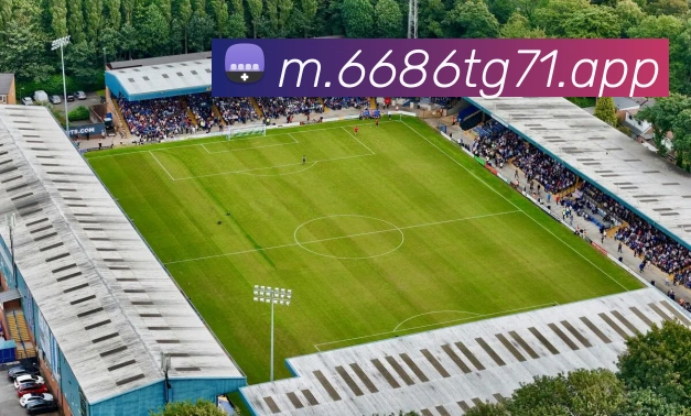 6686APP 封面图